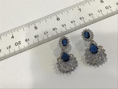 Gorgeous Blue and Snd Crystal Earrings