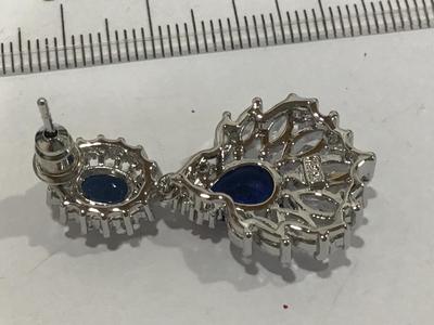 Gorgeous Blue and Snd Crystal Earrings