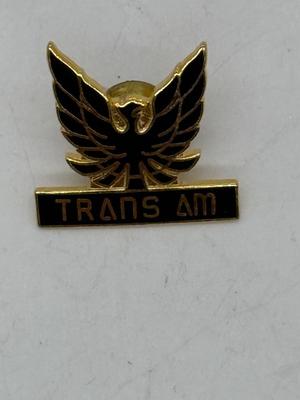 Sale Photo Thumbnail #218: Goldtone metal pin with black image, good condition. Approx. 7/8" tall.