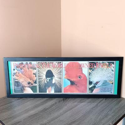 LOT 174L: Framed Art Celebrating Philadelphia Zoo's Bird House Opening 1987 w/ National Geographic 125 Years Coffee Table Book &...