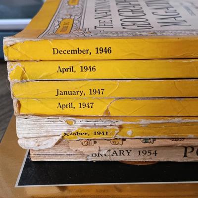 LOT 174L: Framed Art Celebrating Philadelphia Zoo's Bird House Opening 1987 w/ National Geographic 125 Years Coffee Table Book &...