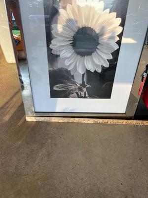 Sale Photo Thumbnail #493: Mirror framed picture - see pics for details