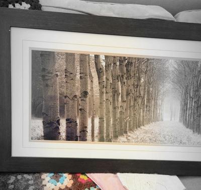 Sale Photo Thumbnail #98: Long framed tree pathway print