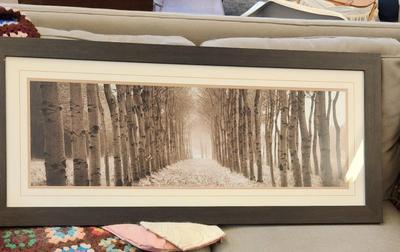 Sale Photo Thumbnail #97: Long framed tree pathway print