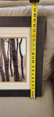 Sale Photo Thumbnail #101: Long framed tree pathway print