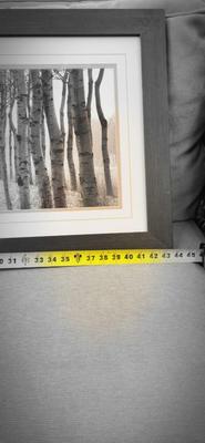 Sale Photo Thumbnail #100: Long framed tree pathway print