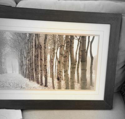 Sale Photo Thumbnail #99: Long framed tree pathway print