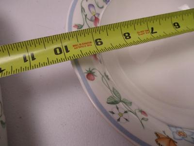 Villeroy & Boch Germany Mariposa Bone China Serving Plates (K)