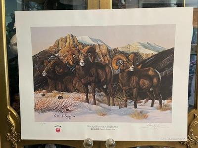 Rocky Mountain Bighorns Lithograph by Gary Swanson Artist Signed 759/950 18" x 24" Unframed Shipped in a Tube.