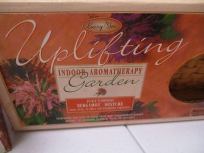 Rival Potpourri Crock & Uplifting Indoor Aromatherapy Garden