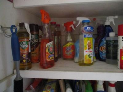 3 Shelves Of Cleaning Supplies (LR)
