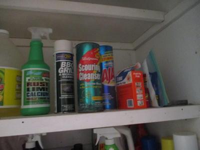 3 Shelves Of Cleaning Supplies (LR)