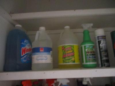 3 Shelves Of Cleaning Supplies (LR)
