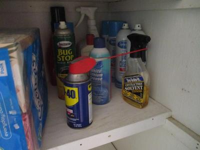 3 Shelves Of Cleaning Supplies (LR)