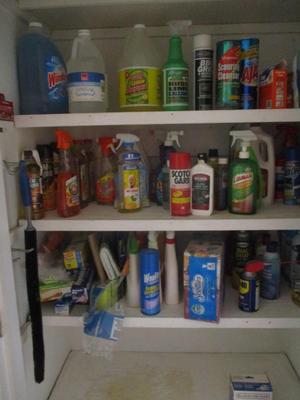 3 Shelves Of Cleaning Supplies (LR)