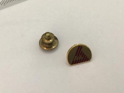 Gold Filled pin