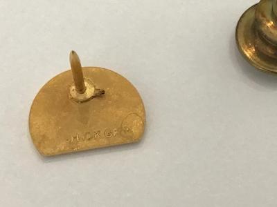 Gold Filled pin