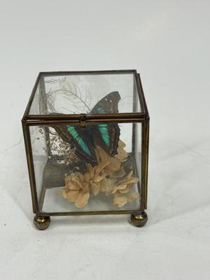 Sale Photo Thumbnail #451: Nice display, approx. 3" tall.