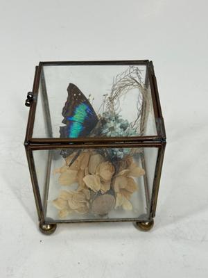 Sale Photo Thumbnail #448: Nice display, approx. 3" tall.