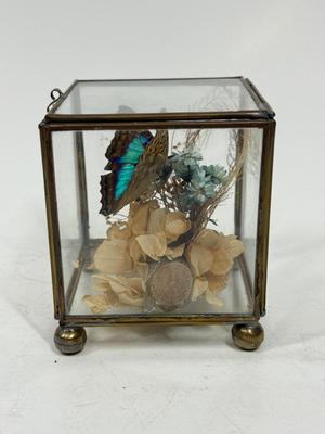Sale Photo Thumbnail #447: Nice display, approx. 3" tall.