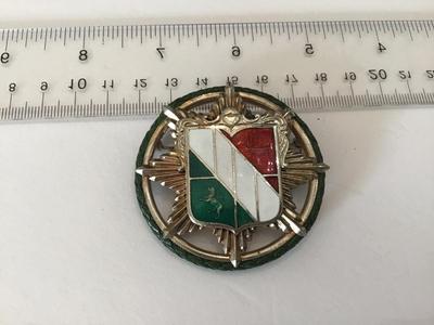 1950 Sheild Vintage Large Pin