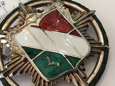 1950 Sheild Vintage Large Pin