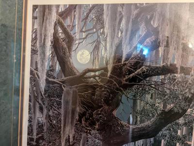 Moonlight & Lace By Roberta Wesley Lithograph