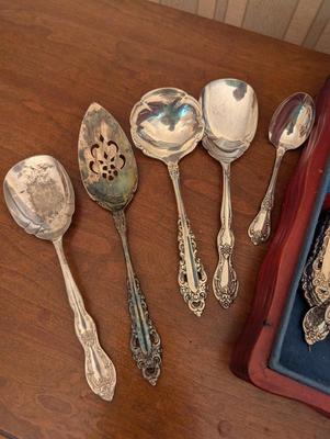 International Deepsilver Community Flatware