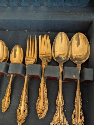 International Deepsilver Community Flatware