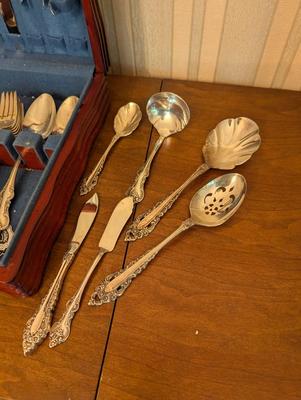 International Deepsilver Community Flatware