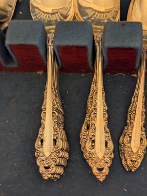 International Deepsilver Community Flatware