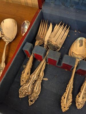 International Deepsilver Community Flatware