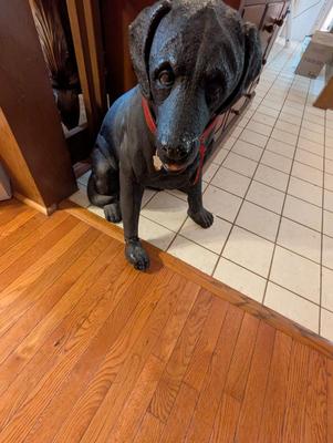 Vintage Labrador Retriever Figure
