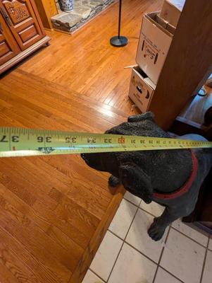 Vintage Labrador Retriever Figure