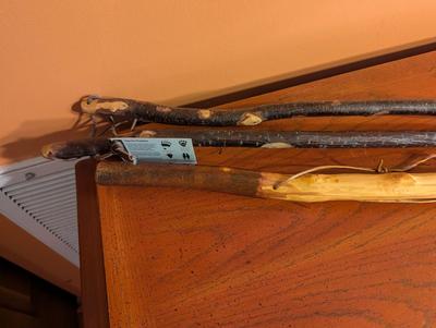 2 - Ozark Trail Walking Canes