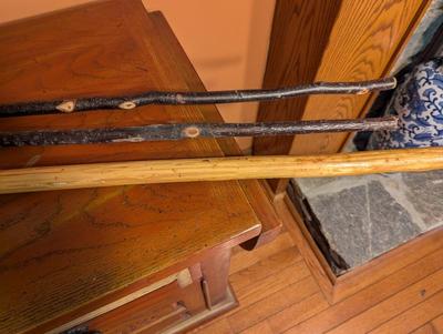 2 - Ozark Trail Walking Canes