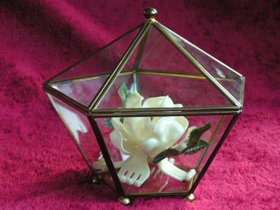 Pentagonal glass in metal frame display box with an artificial white rose. About 7" tall.