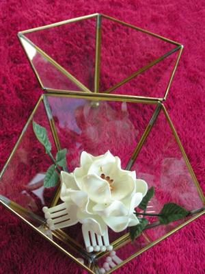 Pentagonal glass in metal frame display box with an artificial white rose. About 7" tall.