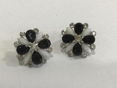 Glass Stone Earrings