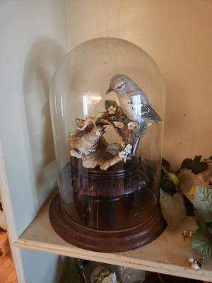 Glass Dome Bird Decor