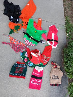 Holiday Dog Costumes & Sweaters – Halloween & Christmas Collection