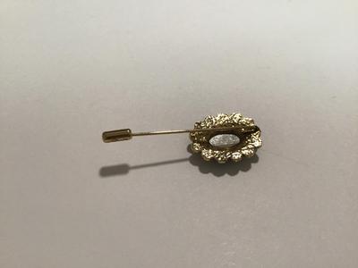 Fashion Pin