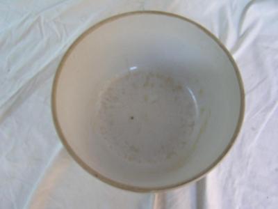 Big ol’ “stoneware” bowl. 11" I.D at top x 5-1/2" deep. Maybe antique??