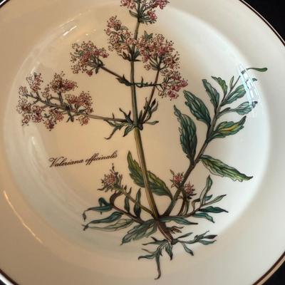Large Villeroy & Boch ‘Botanica’ Dish Set plus Two ‘French Garden’ Bowls (LR-HS)