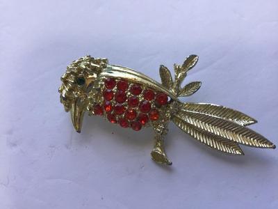 Parrot Brooch
