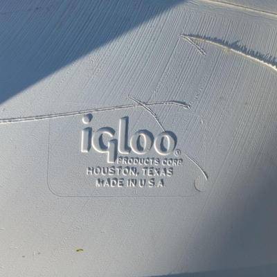 LOT 268: Igloo Polar 120 Qt Cooler