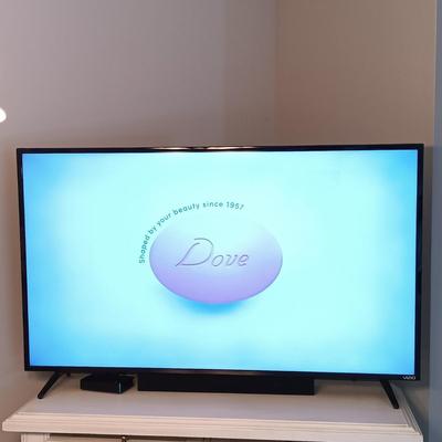 LOT 252: Vizio D50-E1 D-Series 50" Ultra HD Full-Array LED Smart TV