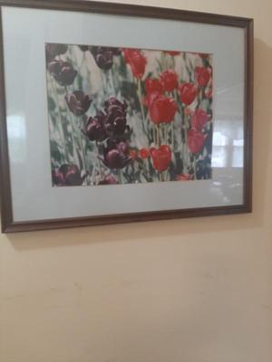 Sale Photo Thumbnail #35