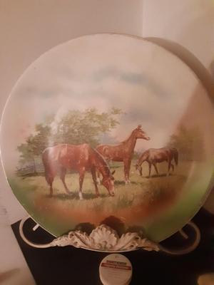 Horse Plate