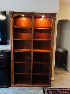 BEAUTIFUL LIT DOUBLE BOOKCASE (1 of2)